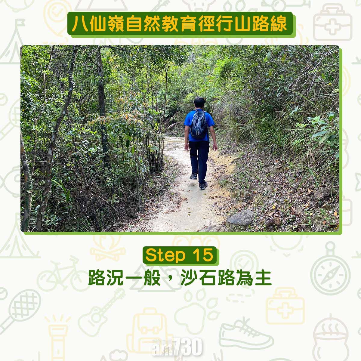 八仙嶺自然教育徑行山路線