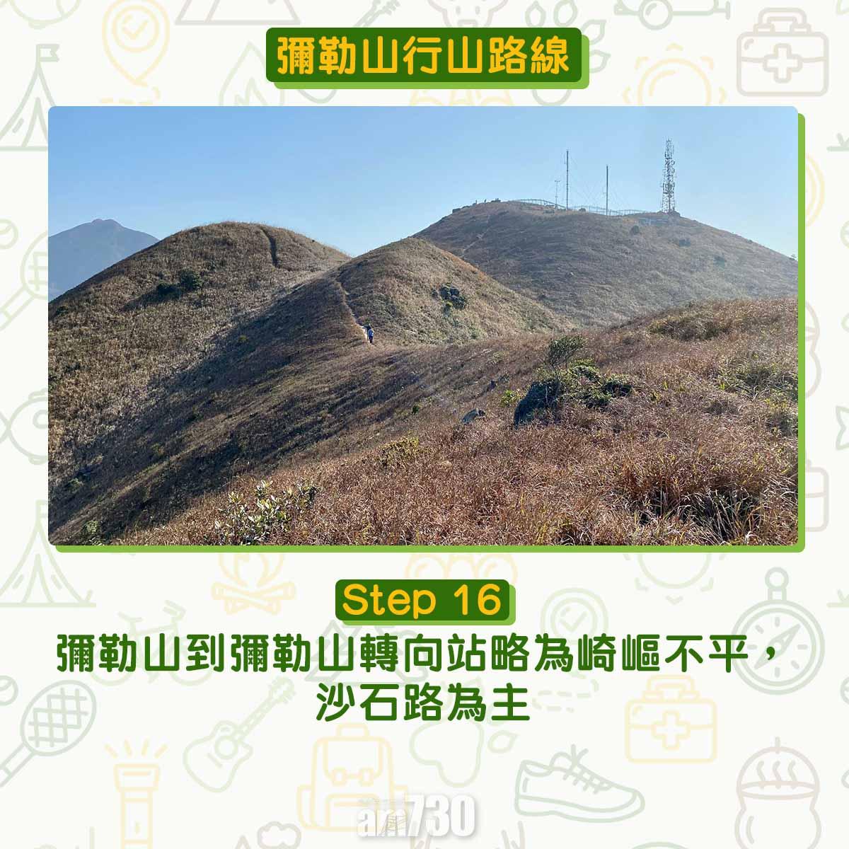 彌勒山芒草行山路線