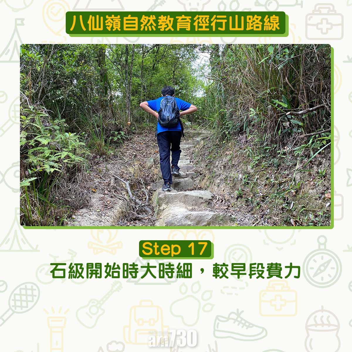 八仙嶺自然教育徑行山路線