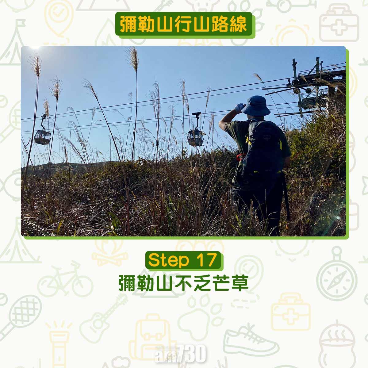 彌勒山芒草行山路線