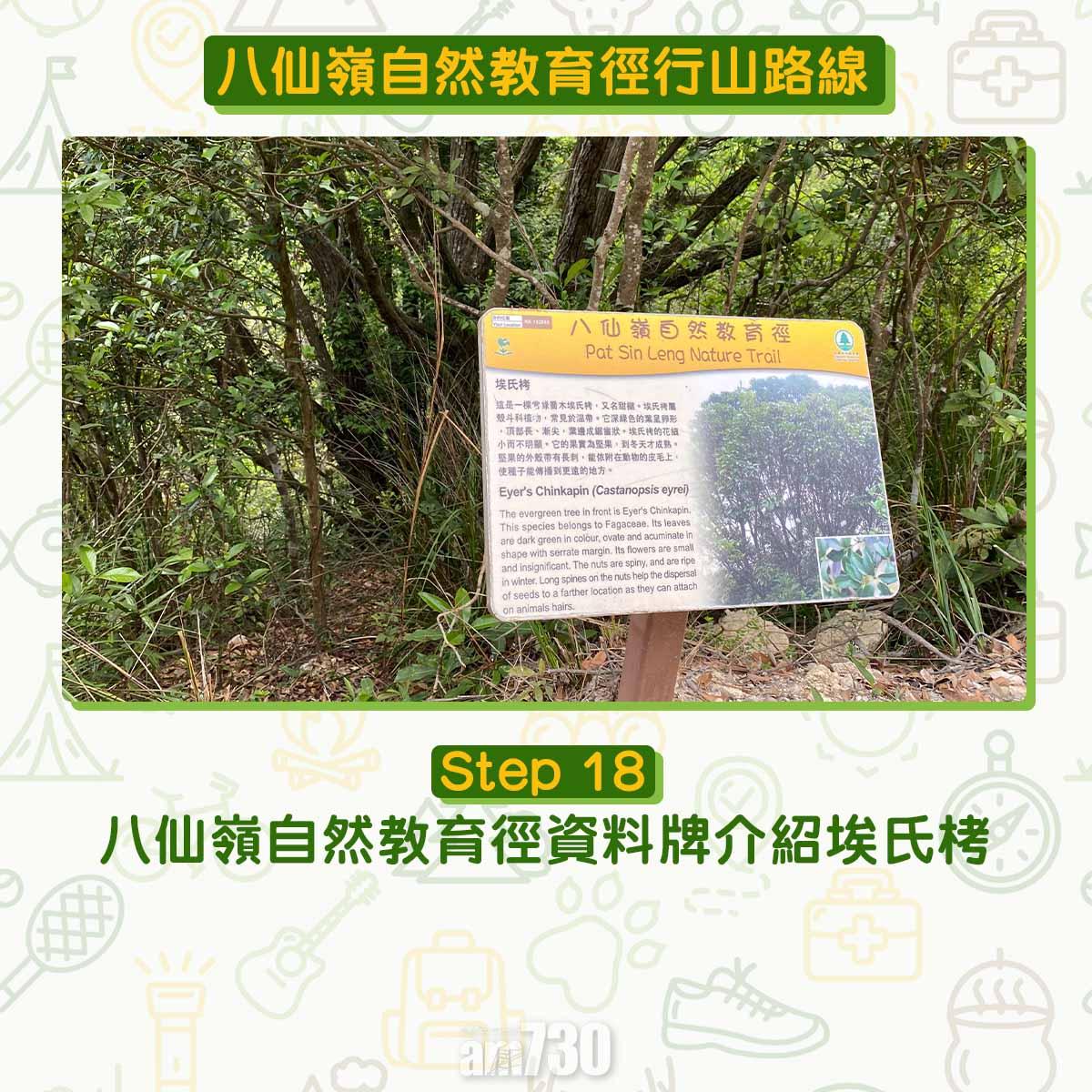 八仙嶺自然教育徑行山路線