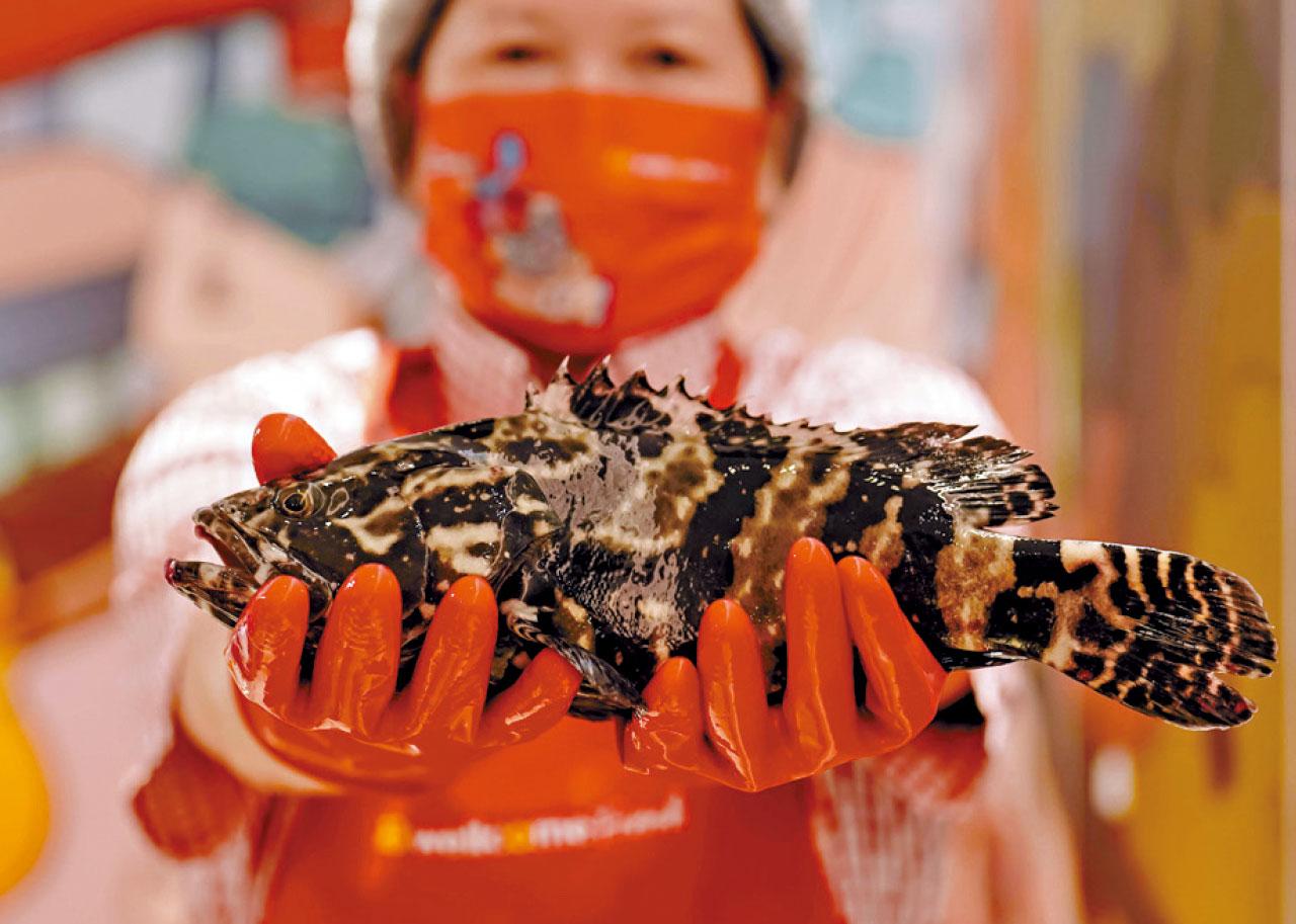 惠康Wellcome Fresh進駐葵涌 新張$88沙巴龍躉