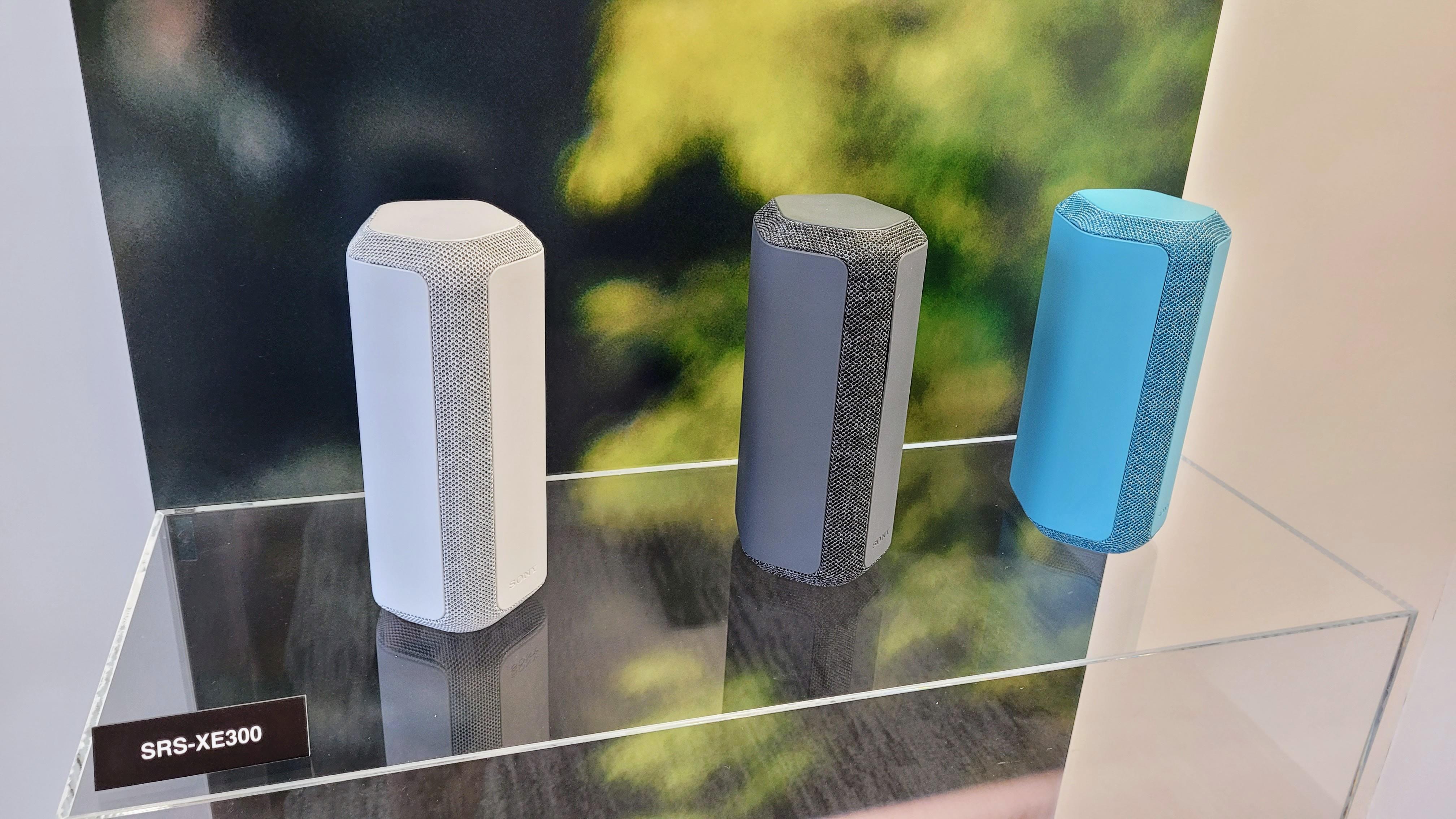 SRS-XE300