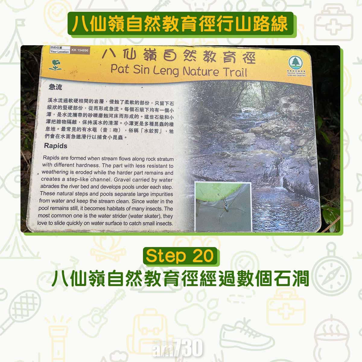 八仙嶺自然教育徑行山路線