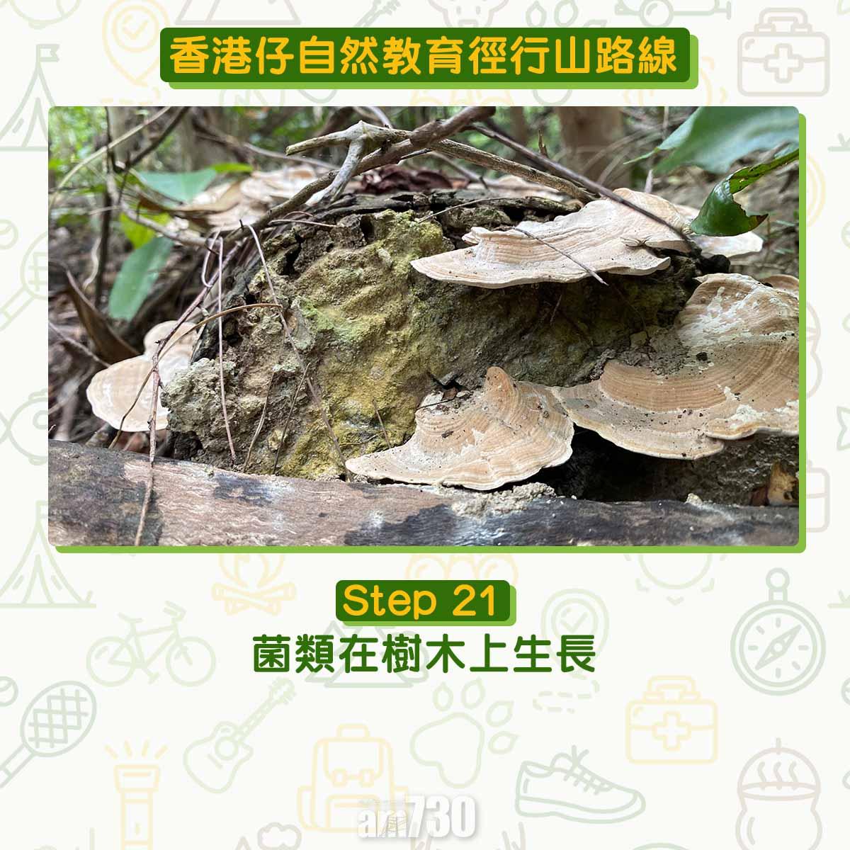 香港仔自然教育徑