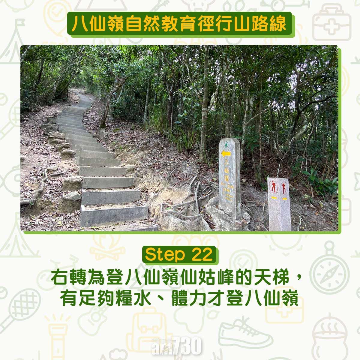 八仙嶺自然教育徑行山路線