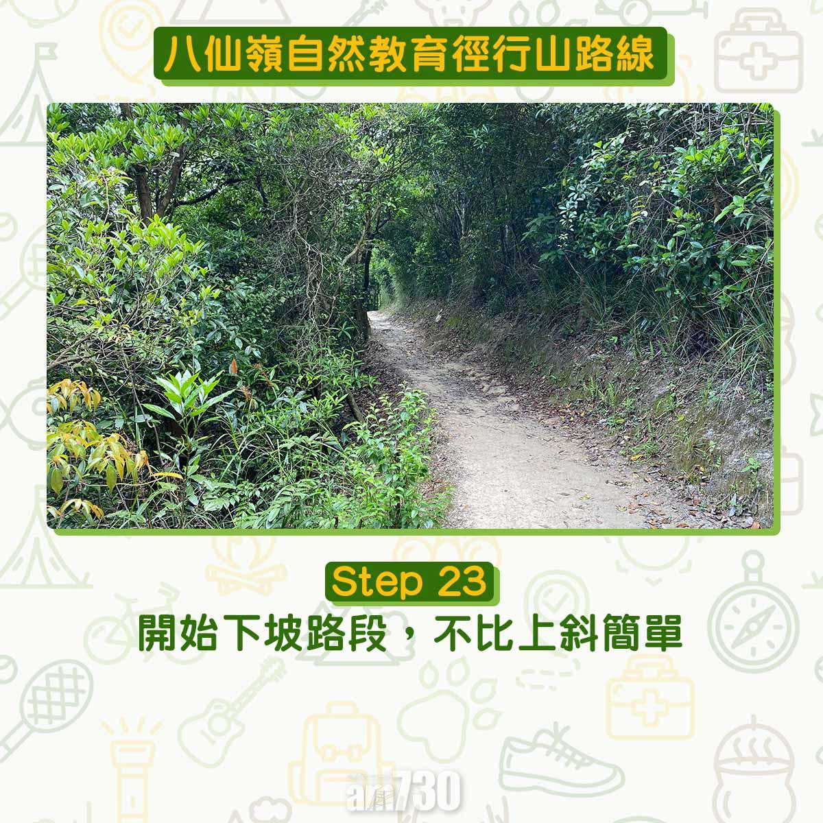 八仙嶺自然教育徑行山路線
