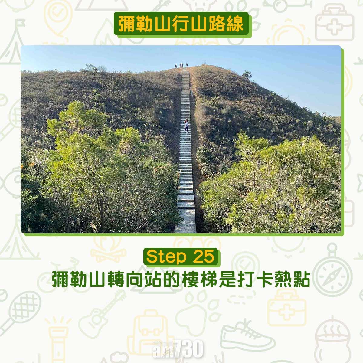 彌勒山芒草行山路線