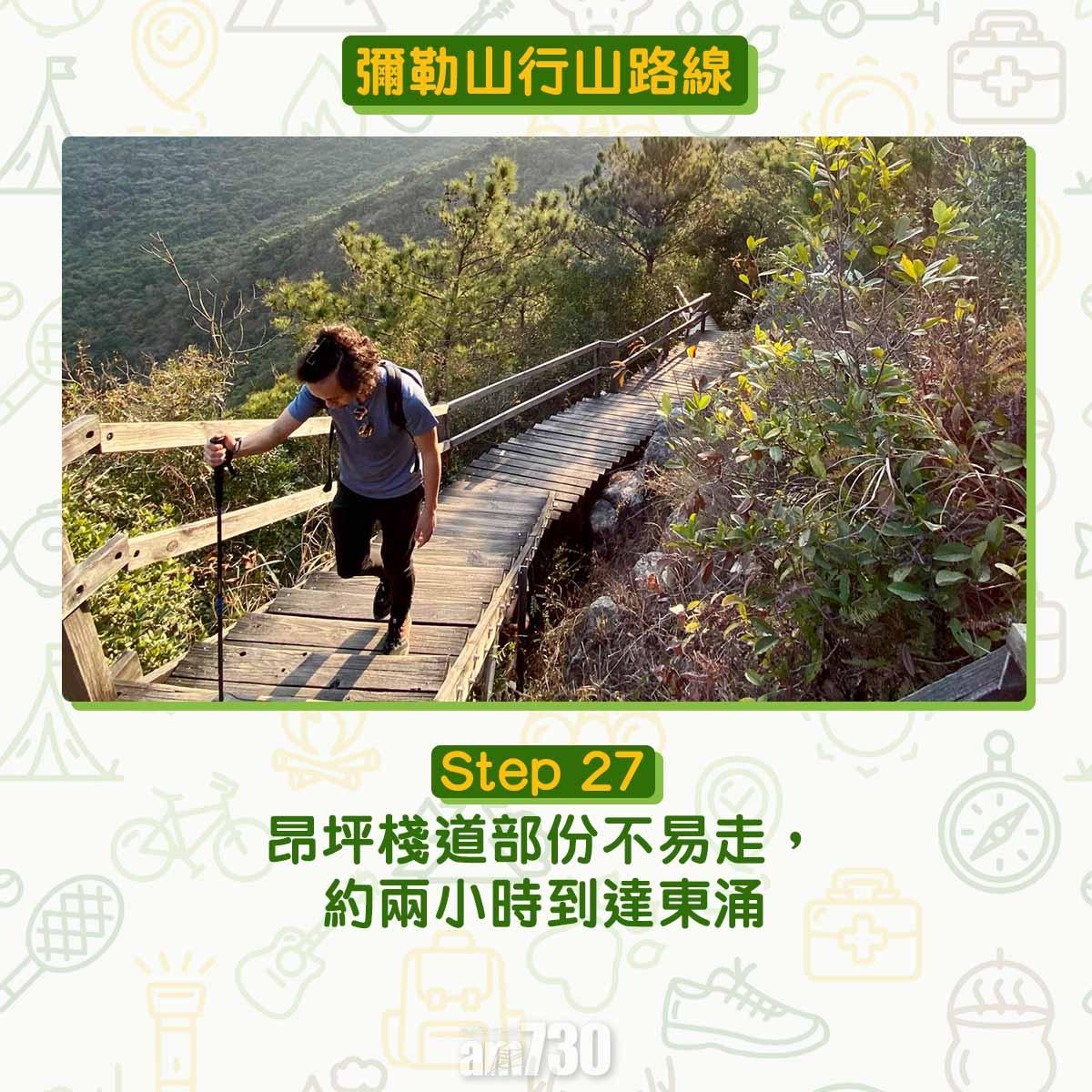 彌勒山芒草行山路線