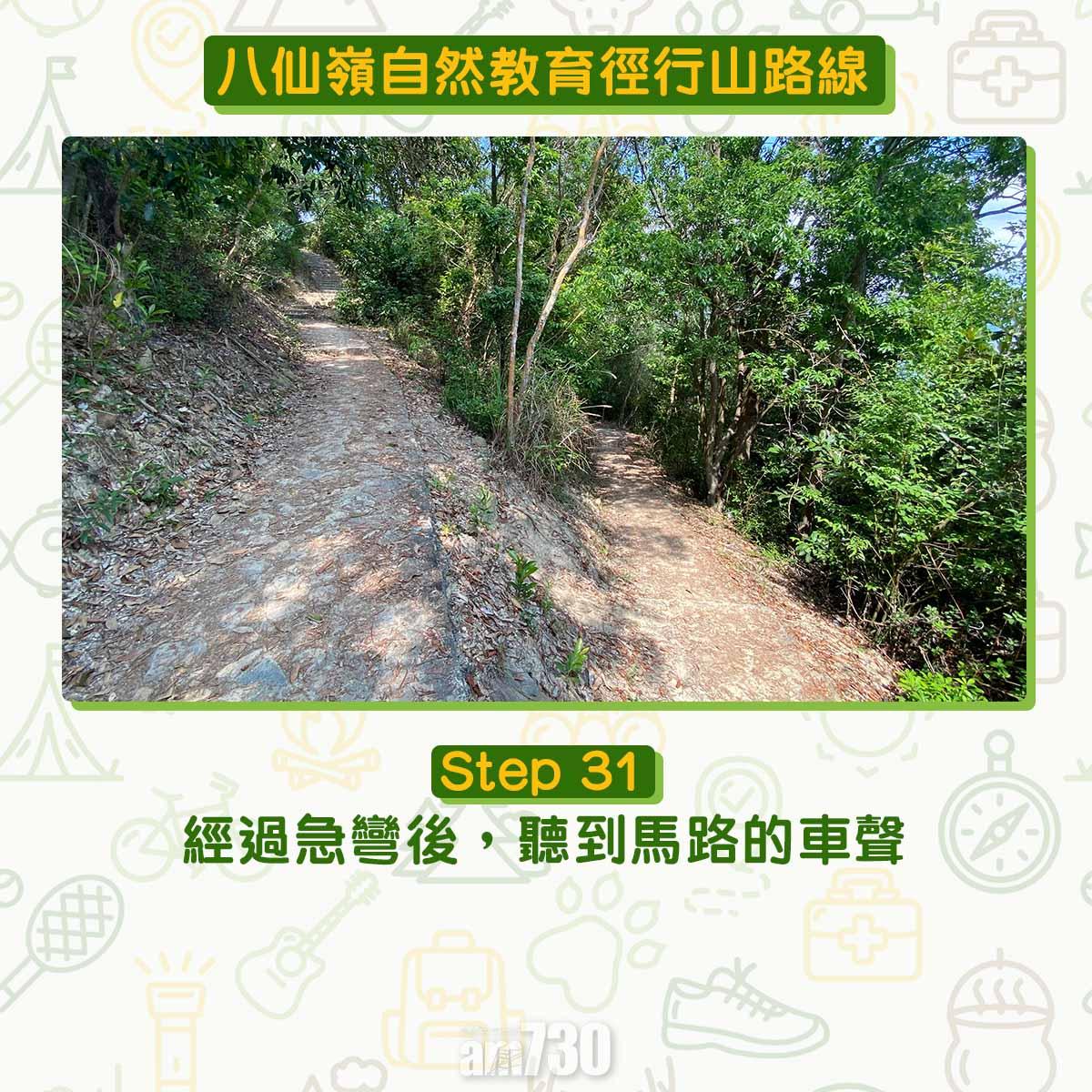 八仙嶺自然教育徑行山路線