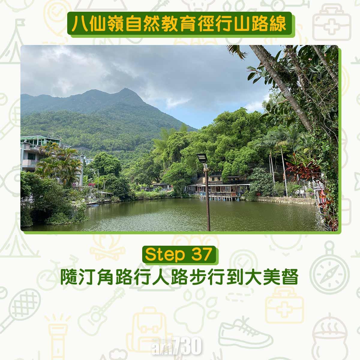 八仙嶺自然教育徑行山路線