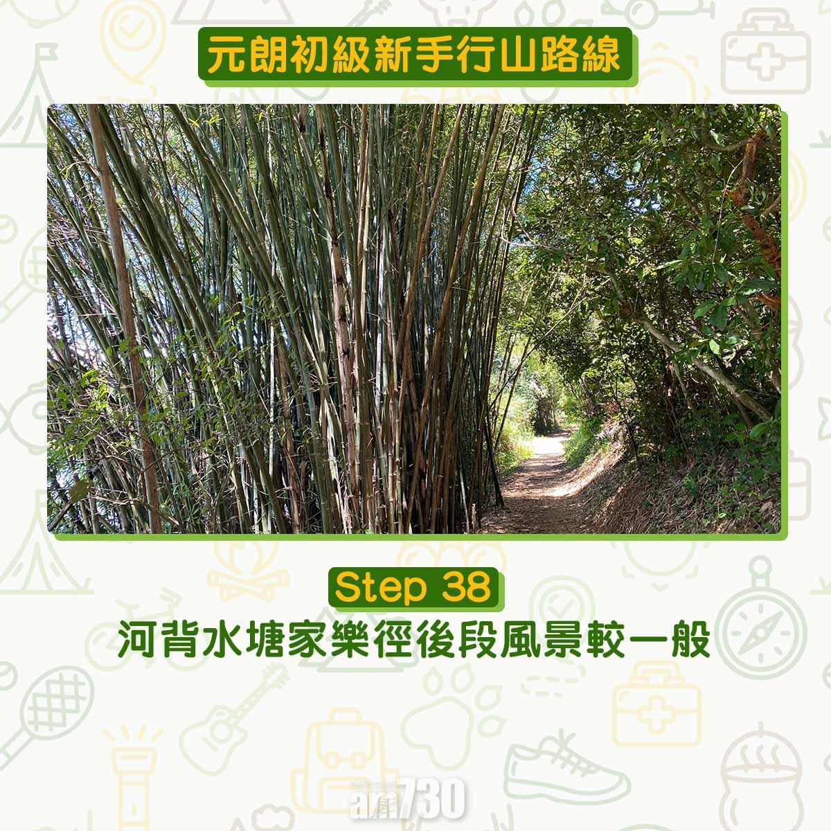 元朗初級行山路線