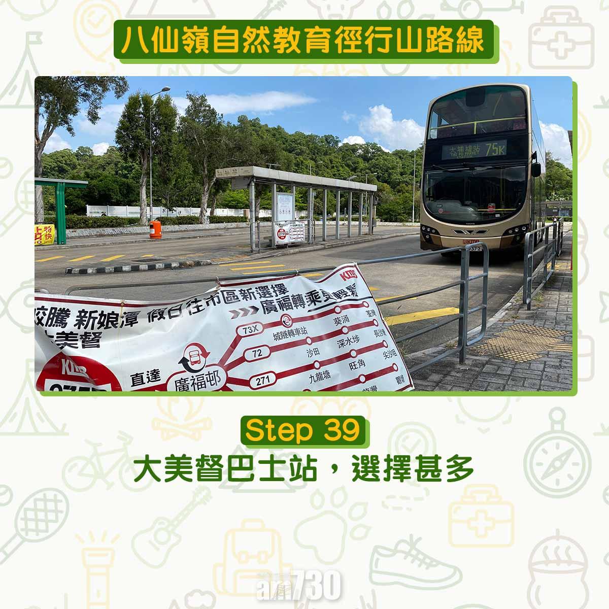 八仙嶺自然教育徑行山路線