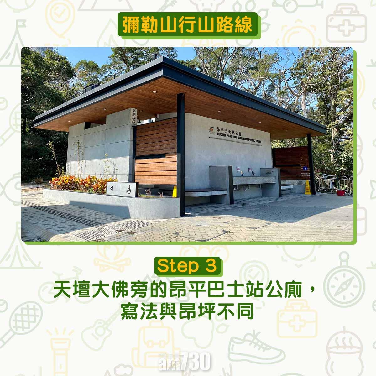 彌勒山芒草行山路線