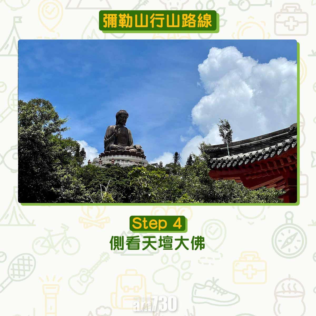 彌勒山芒草行山路線