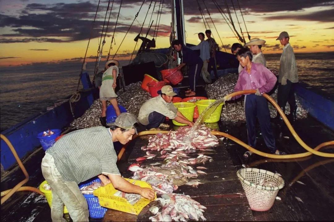 有分析認為,三亞今波疫情,是本土漁民出公海與越南漁民非法交易漁獲時受感染引起。(互聯網)