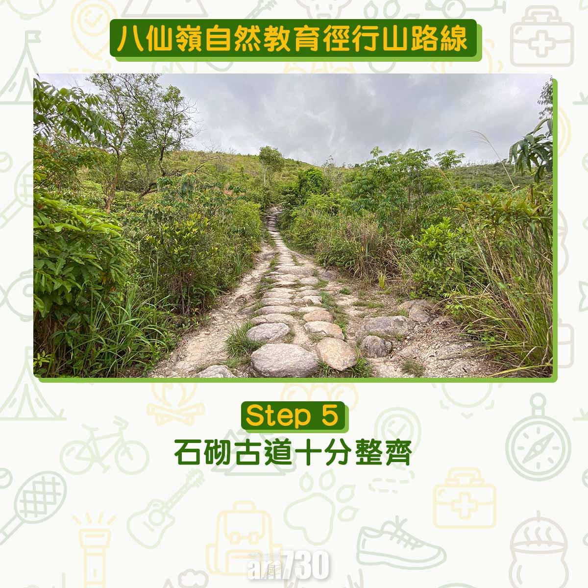 八仙嶺自然教育徑行山路線