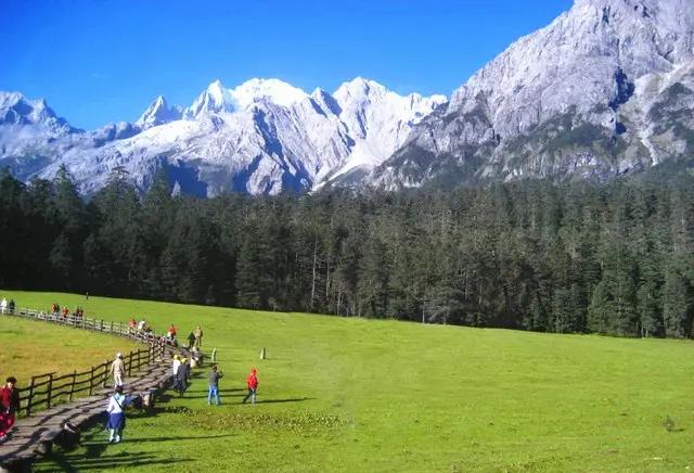 雲杉坪景色優美、獨特,吸引不少遊客到場遊覽、打卡。(互聯網)