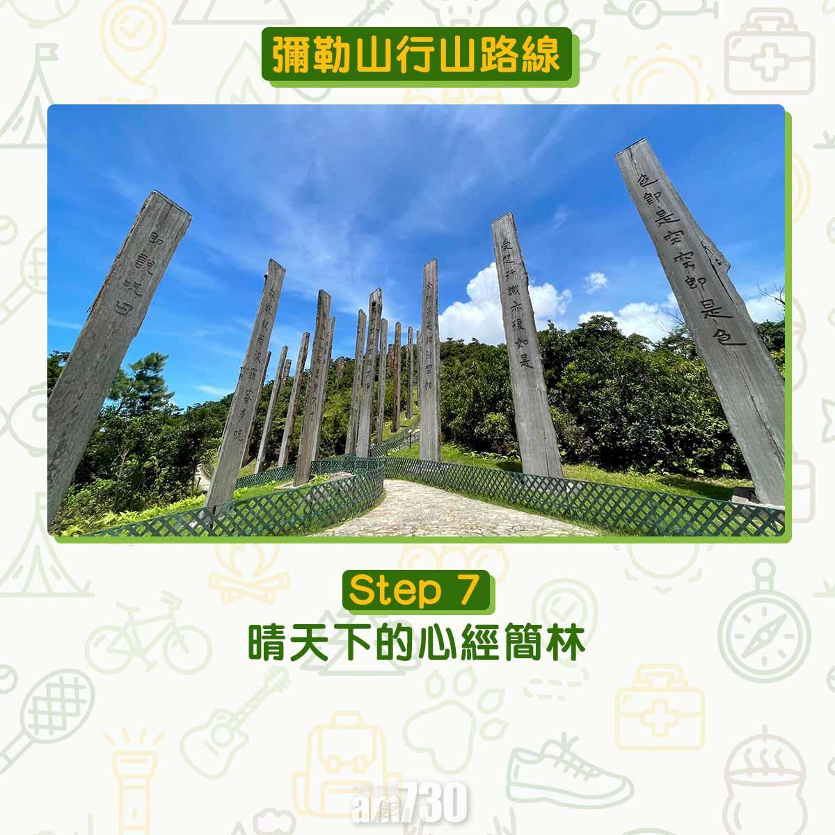 彌勒山芒草行山路線