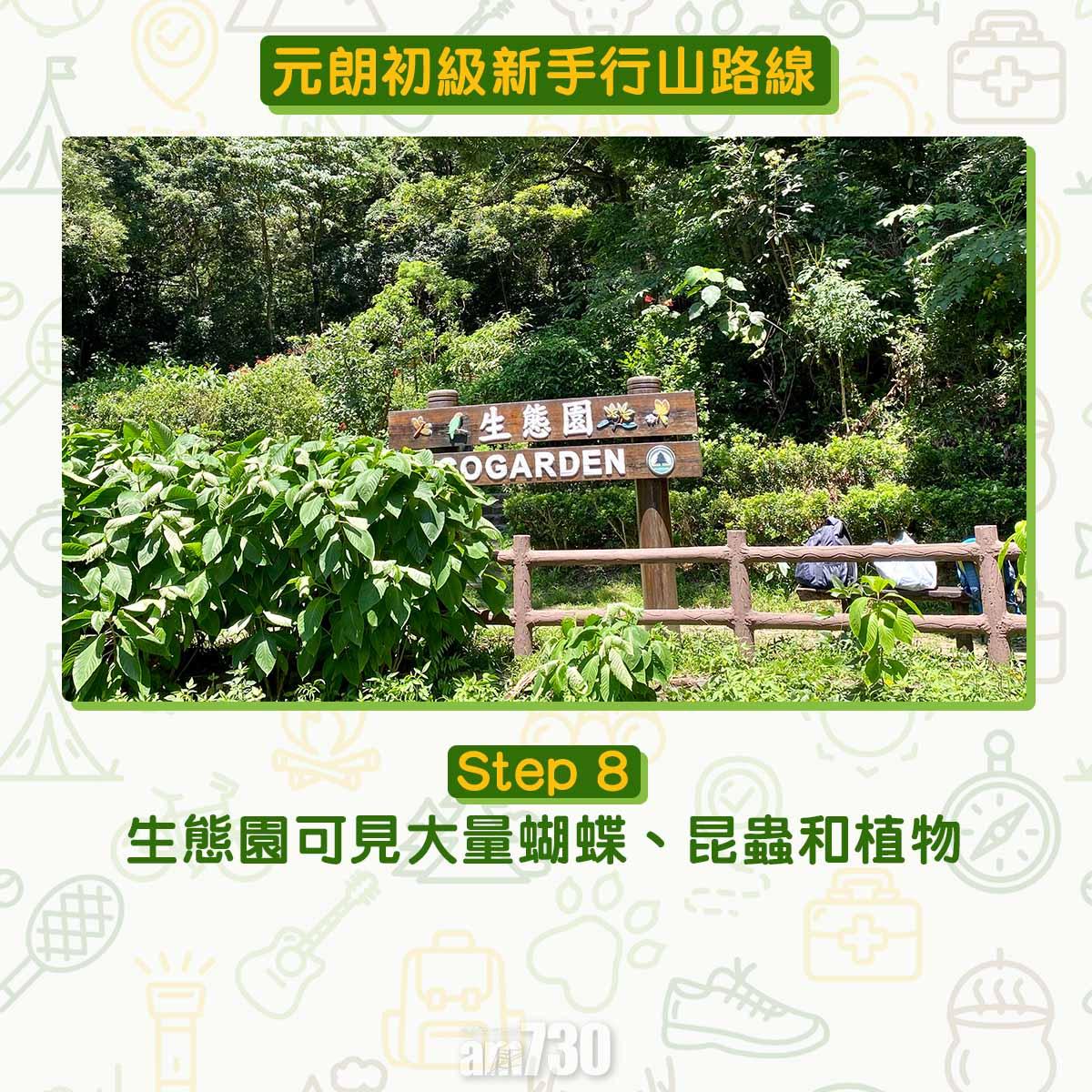 元朗初級行山路線