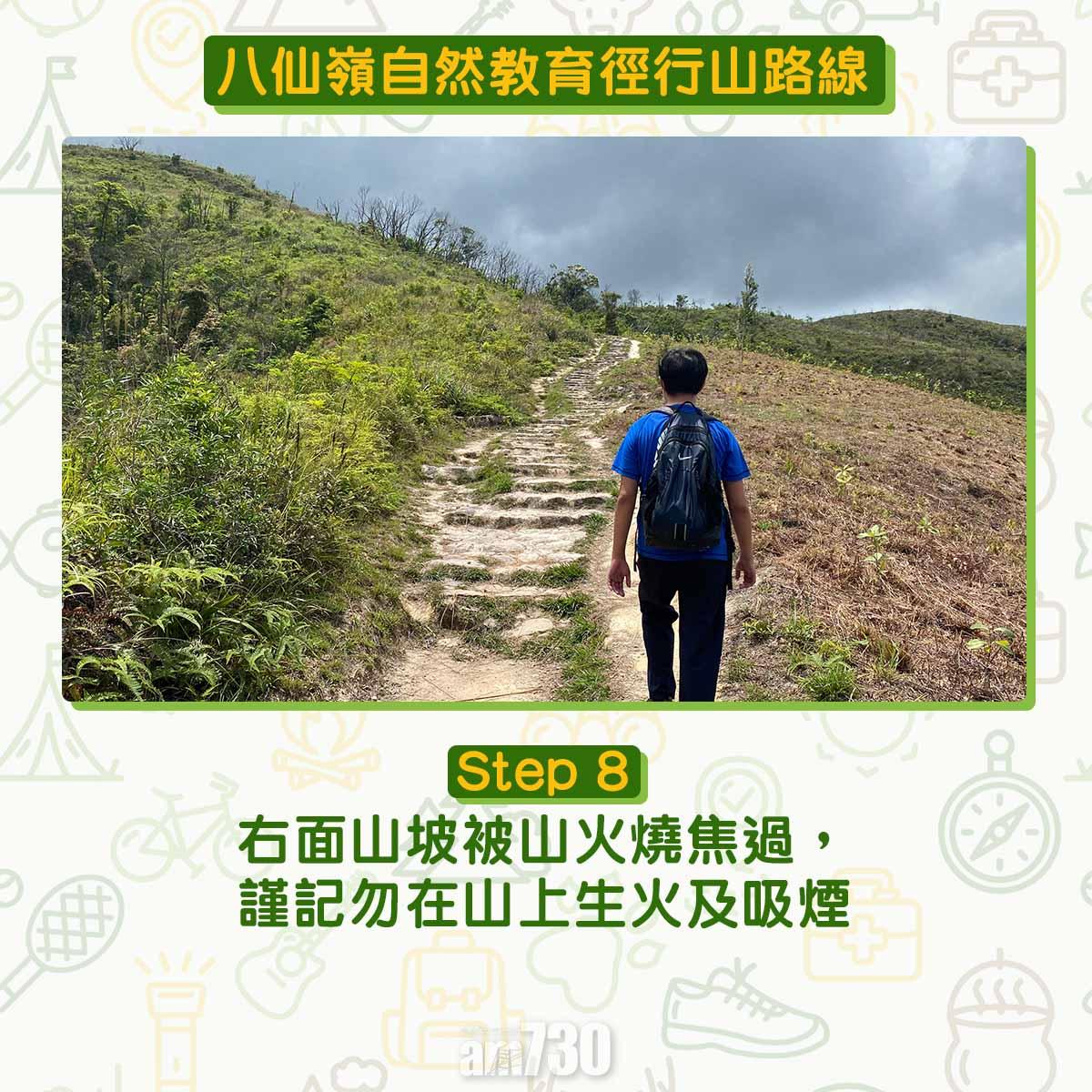 八仙嶺自然教育徑行山路線