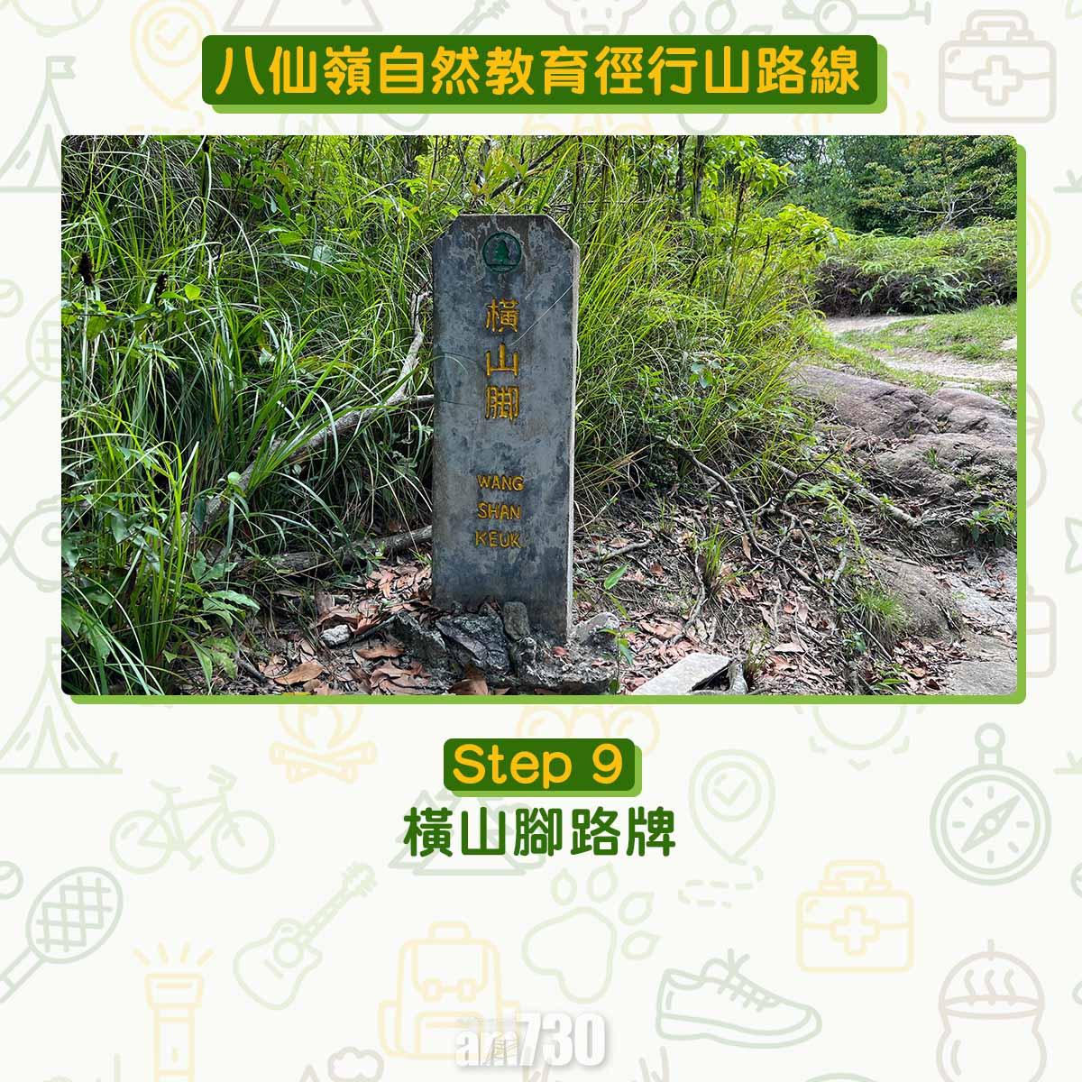 八仙嶺自然教育徑行山路線