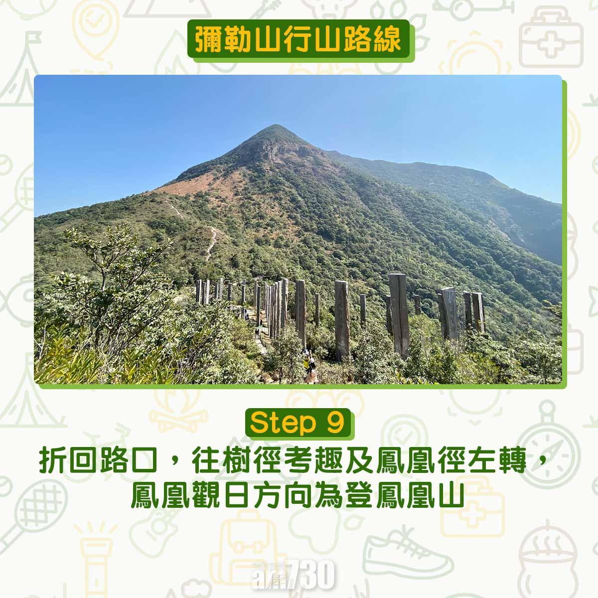 彌勒山芒草行山路線