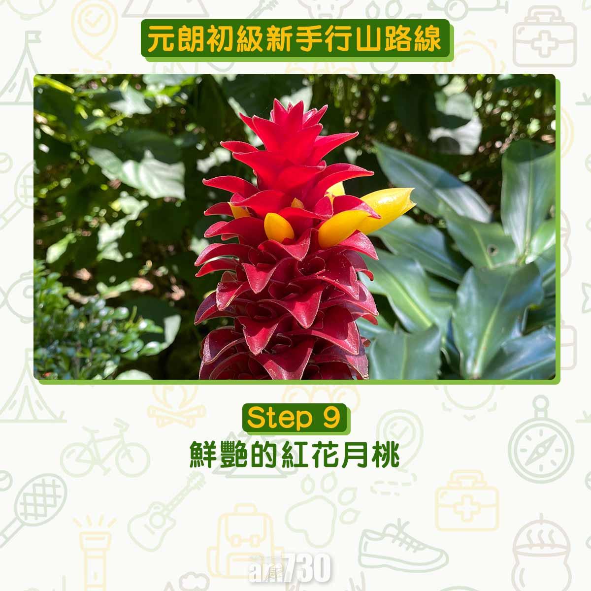 元朗初級行山路線