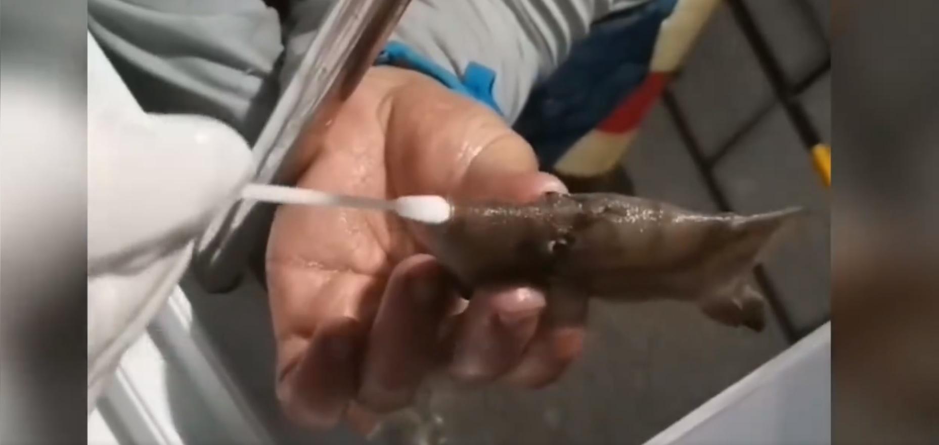 不少網民表示政策離譜