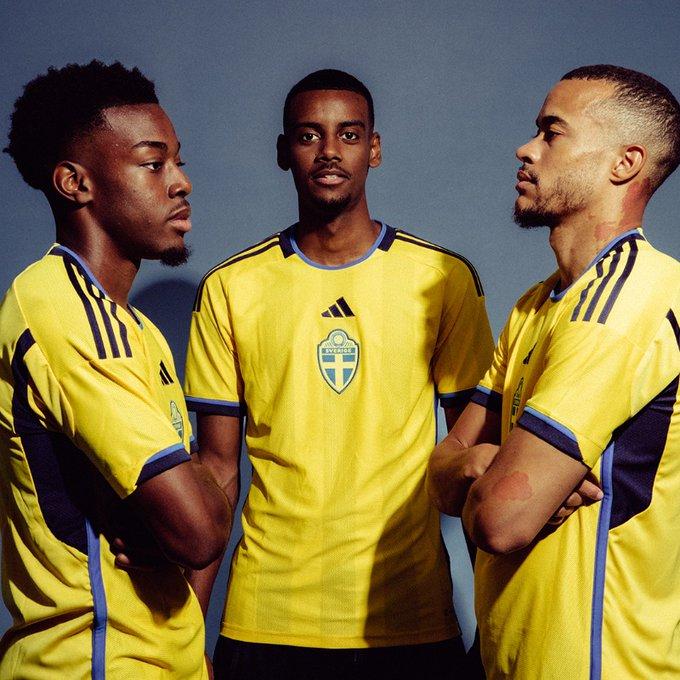 瑞典主場。(瑞典足協圖片)