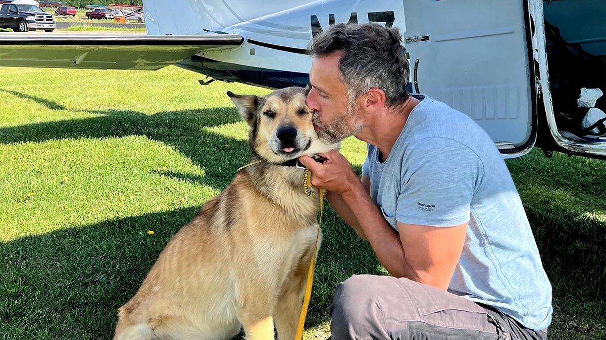 狗行為|研究證實狗狗與主人團聚 會開心到喊狗行為|研究證實狗狗與主人團聚 會開心到喊