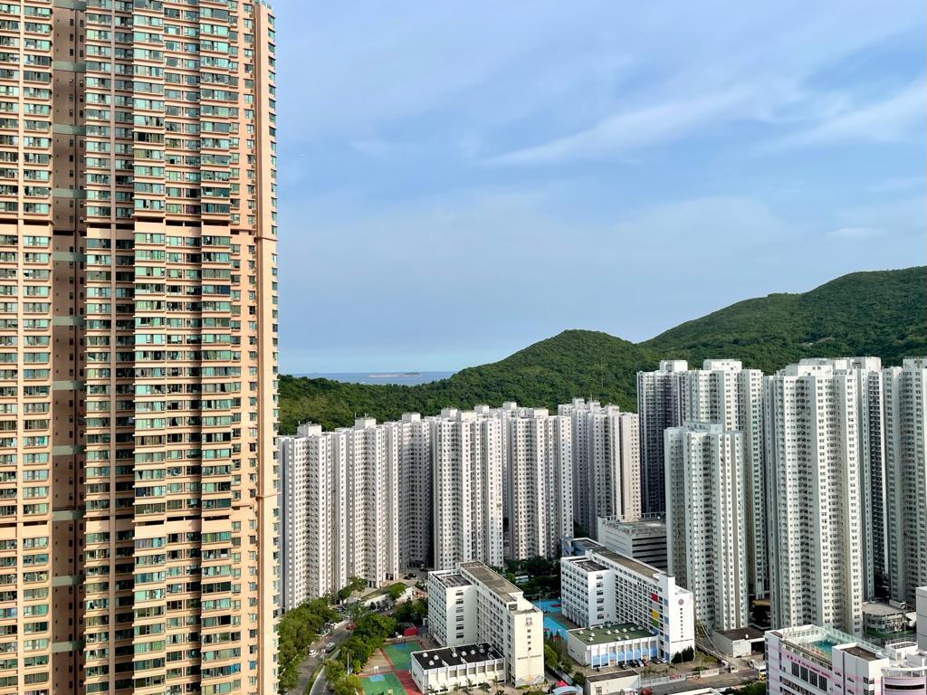 單位景觀開揚,可眺望少許海景。(代理提供相片)