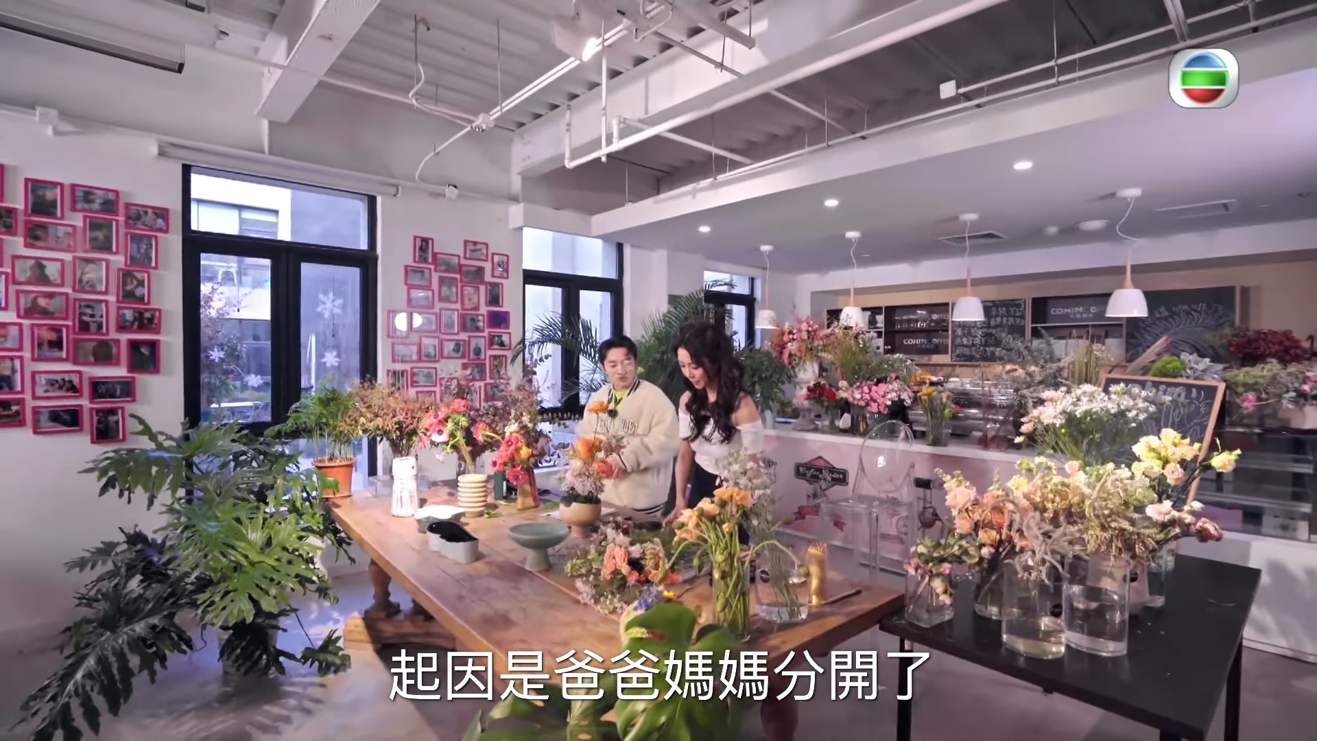 Fiona的情緒病由父母離異引起,之後失戀加重病情。