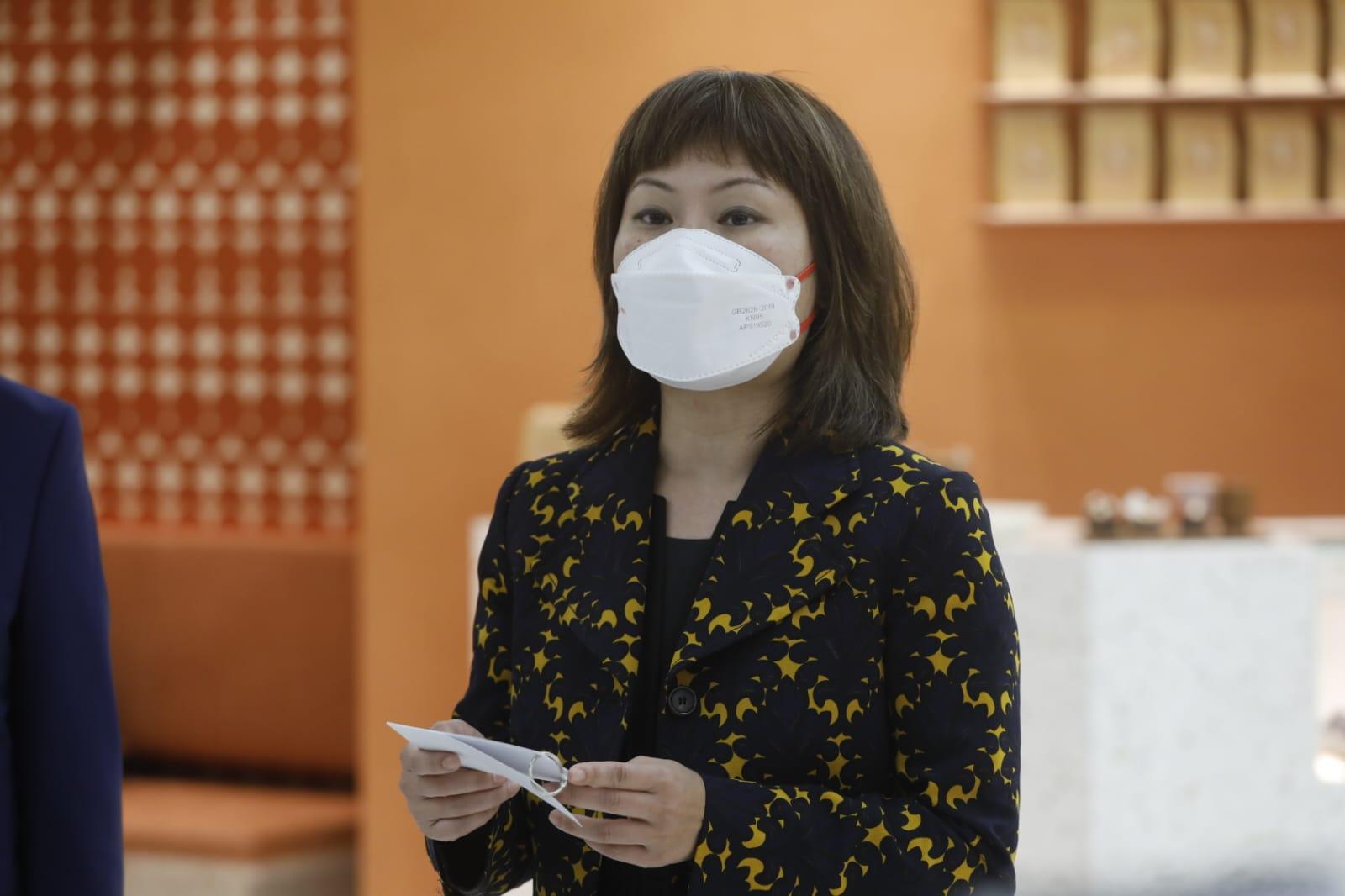 屯門新盤|NOVO LAND第1B期首輪暫錄逾1.2萬票 V city向住戶送優惠