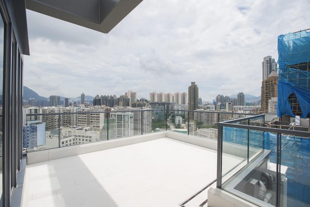 天台分有兩邊,合共面積有485方呎。(李睿哲攝)