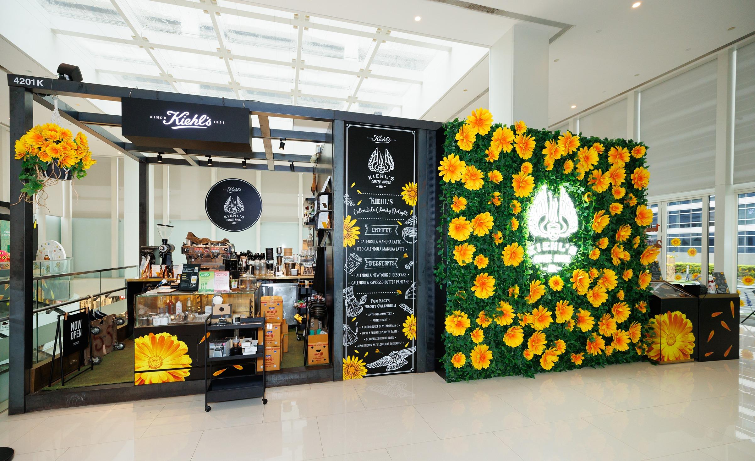 大型金盞花花牆