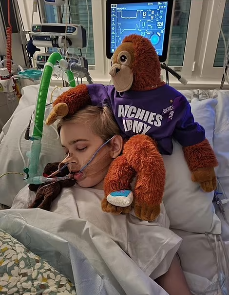 巴特斯比昏迷後一直臥床。(互聯網)