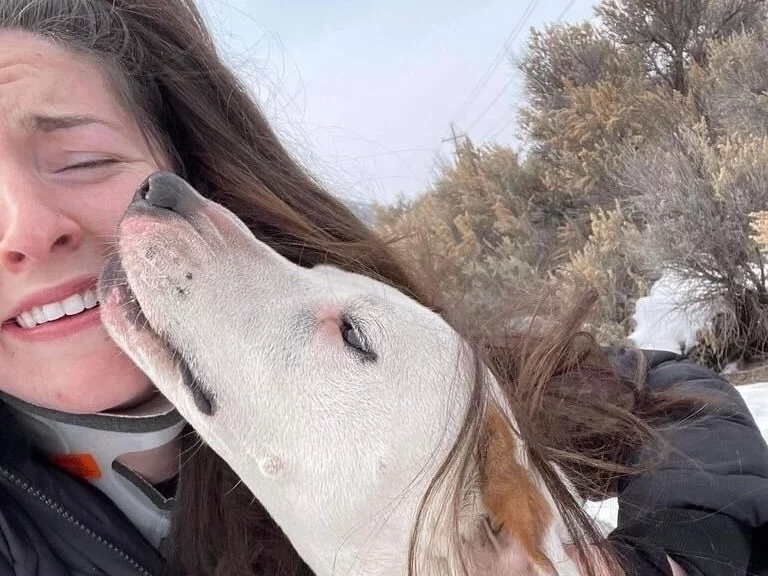 狗行為|研究證實狗狗與主人團聚 會開心到喊