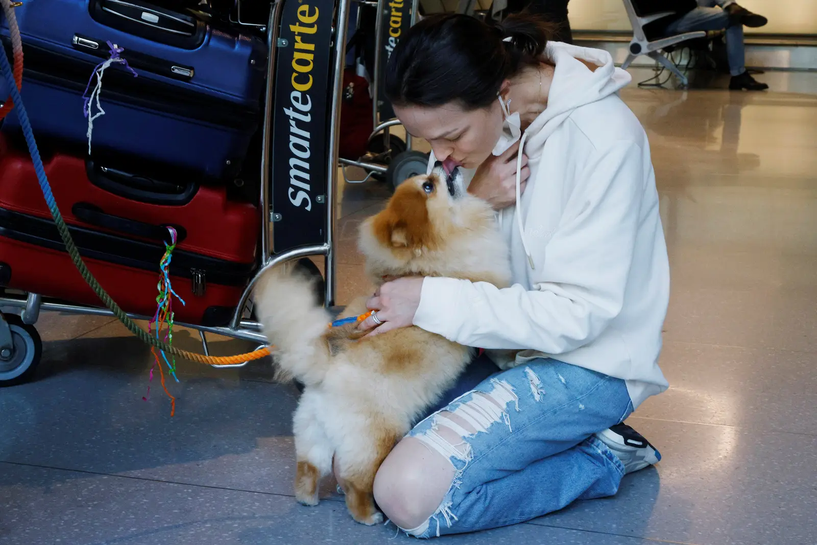 狗行為|研究證實狗狗與主人團聚 會開心到喊