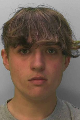 僅被判囚20個月的惡少。(互聯網)