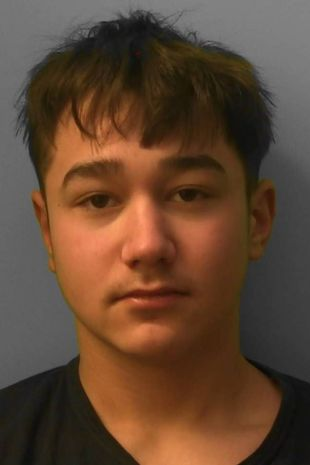 被判囚12年的其中一名惡少。(互聯網)