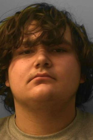 被判囚12年的其中一名惡少。(互聯網)