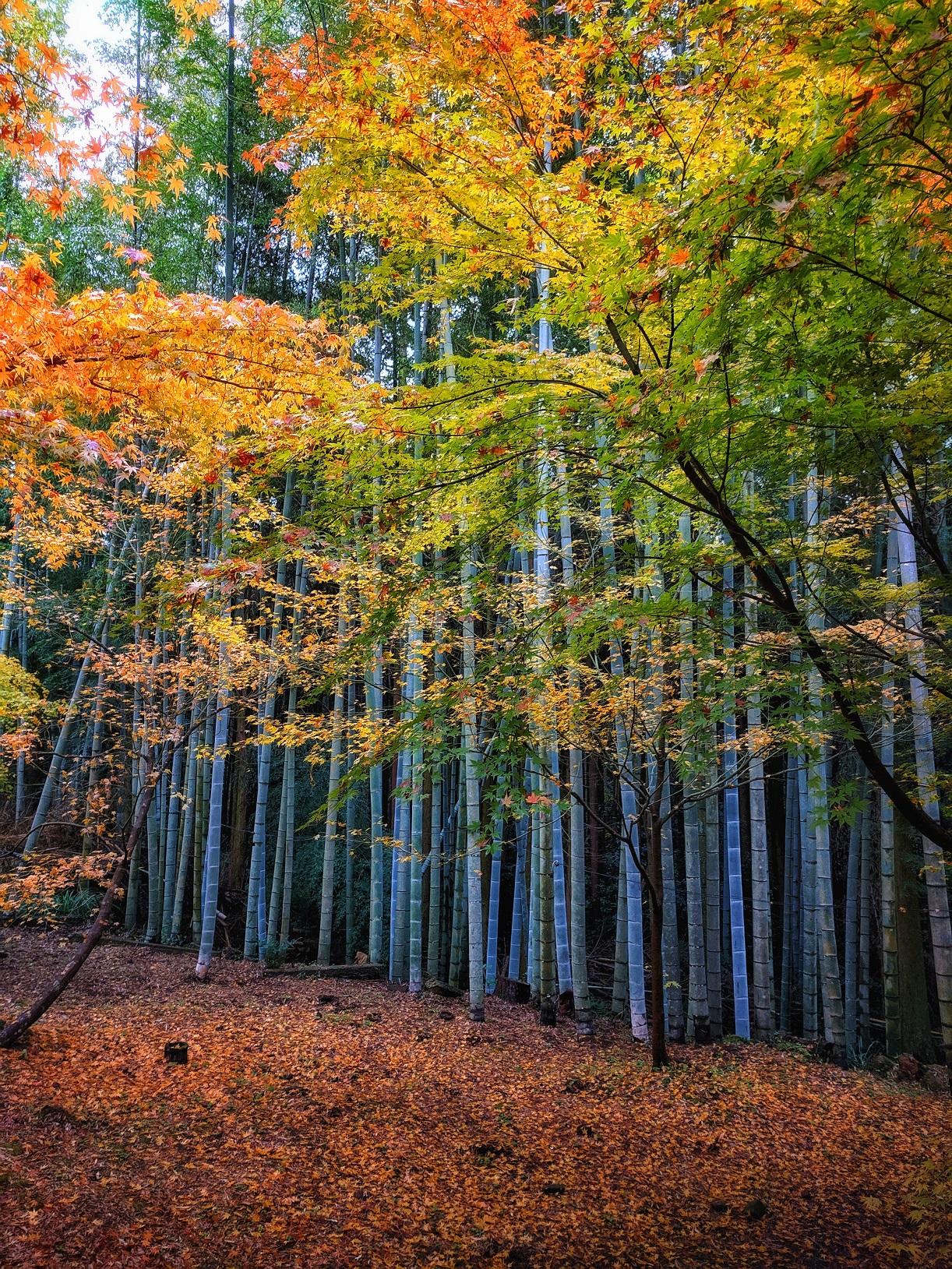 相片來源:(一社)長崎縣觀光聯盟