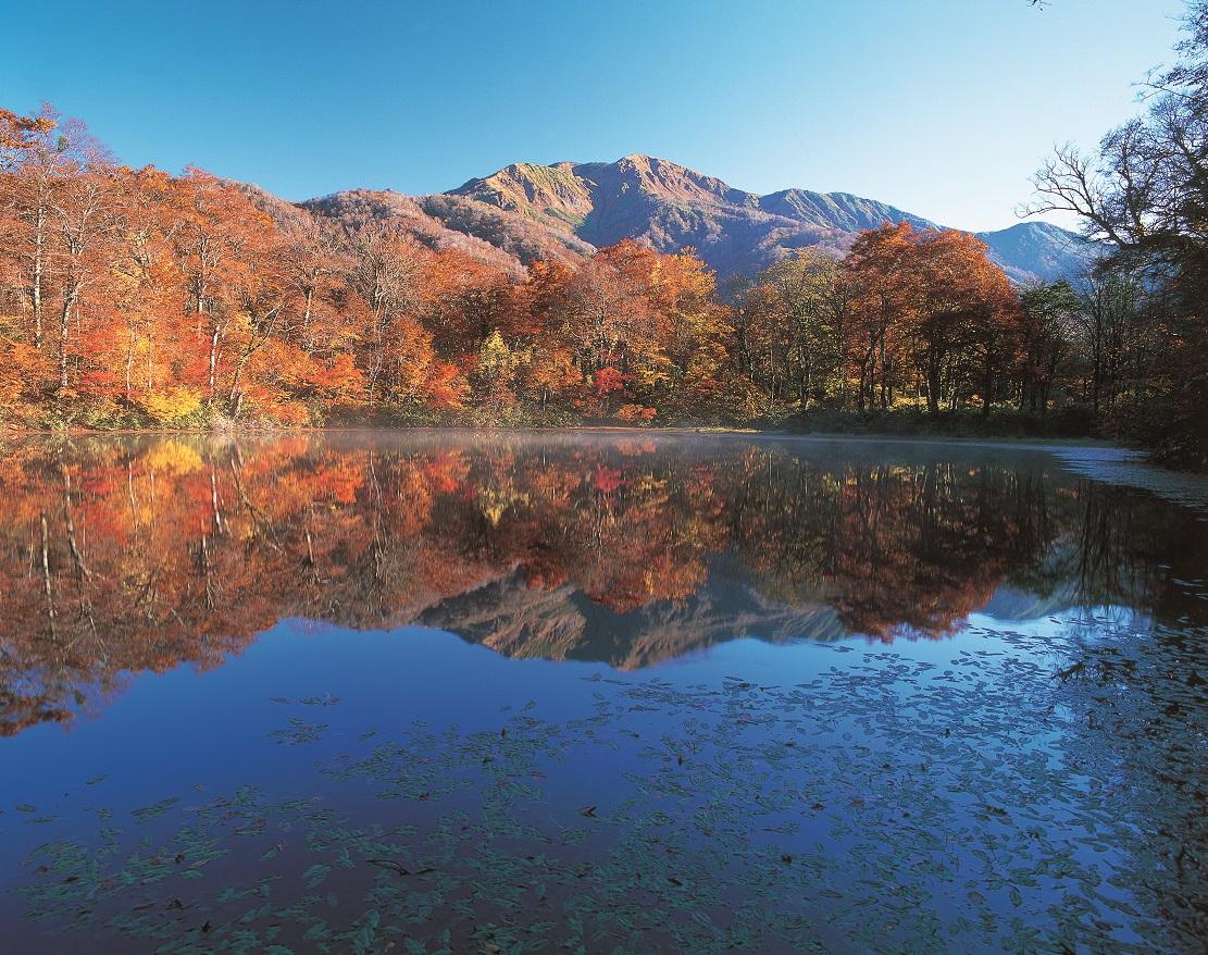 割進池 (刈込池)