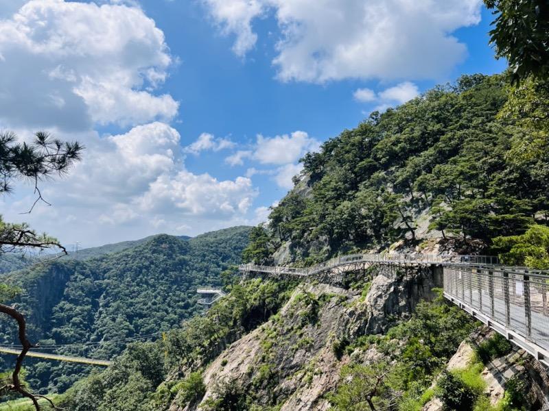小金山懸索吊橋&步步驚心橋&天空步道