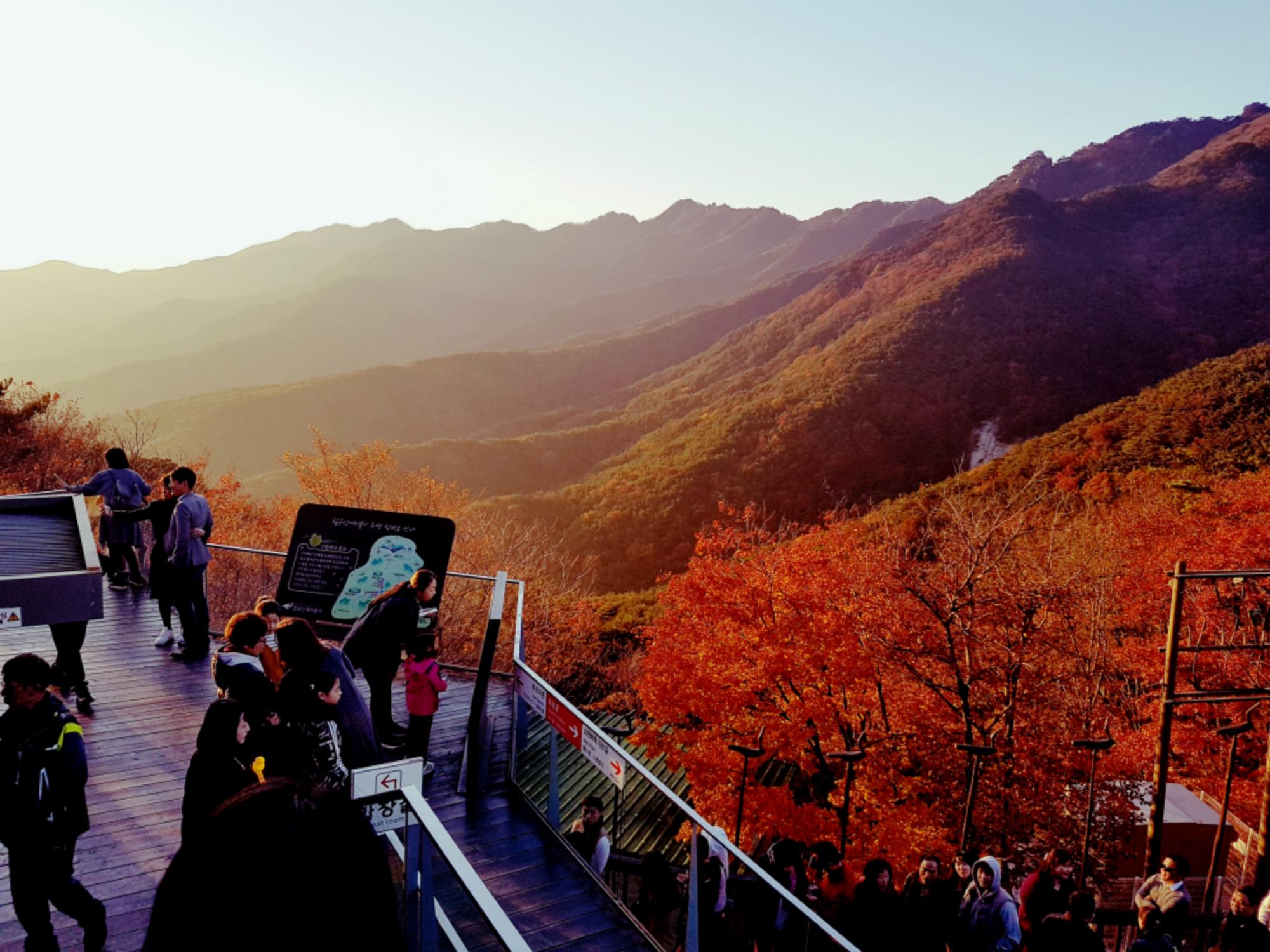 分為釜山、大邱、慶州,慶尚道4個地區,一次過遊覽多個賞楓最佳景點。