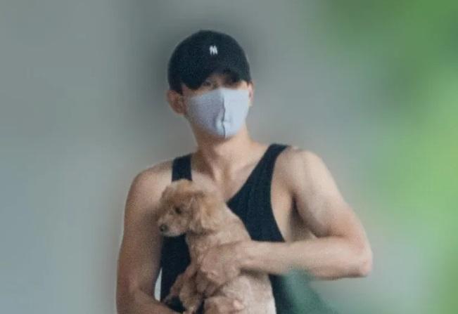 町田跟玄理飼養了迷你貴婦狗作為寵物。