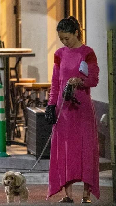 町田跟玄理飼養了迷你貴婦狗作為寵物。