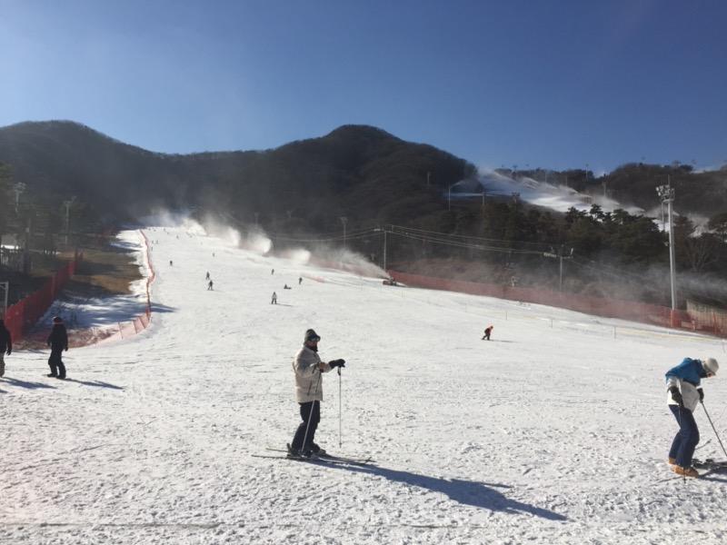 芝山森林滑雪渡假村一日遊