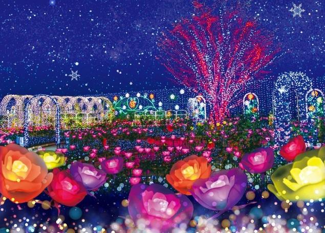 足利花卉公園「光之庭園」燈飾